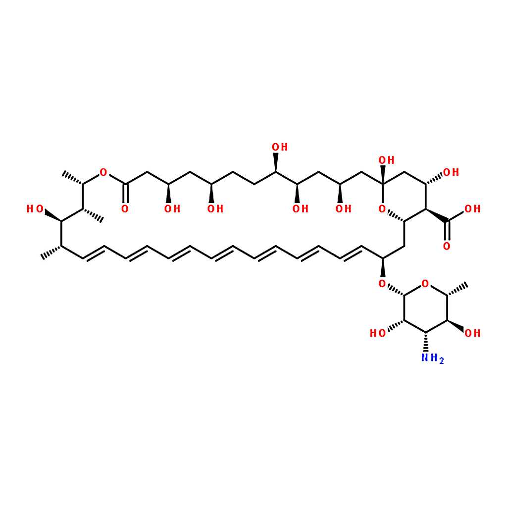 RHAWN Amphotericin B