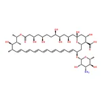 RHAWN Amphotericin B