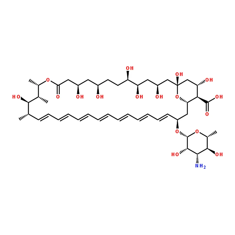 RHAWN Amphotericin B