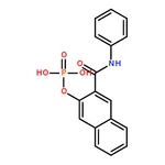 RHAWN 3-Hydroxy-2-naphthanilide phosphate