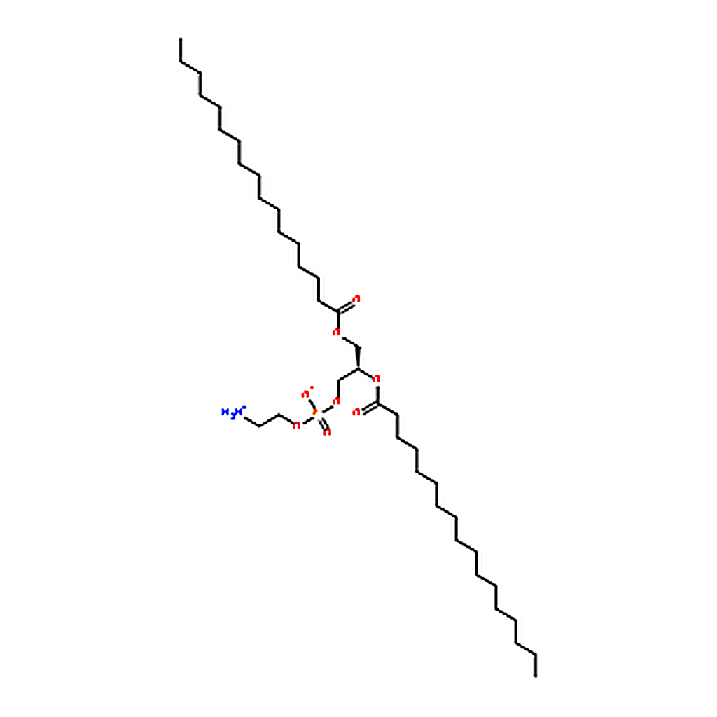 RHAWN 1,2-diheptadecanoyl-sn-glycero-3-phosphoethanolamine