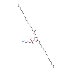 RHAWN 1,2-diheptadecanoyl-sn-glycero-3-phosphoethanolamine