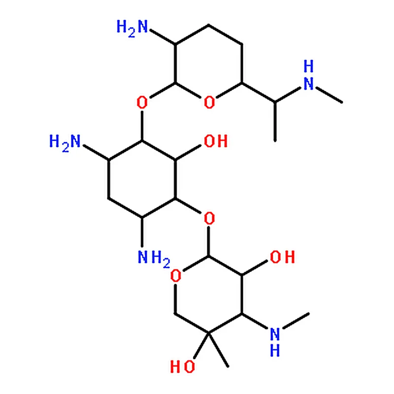 RHAWN Gentamicin