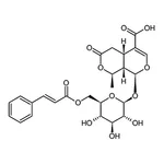 RHAWN 6'-O-Cinnamoyl 8-epikingisidic acid