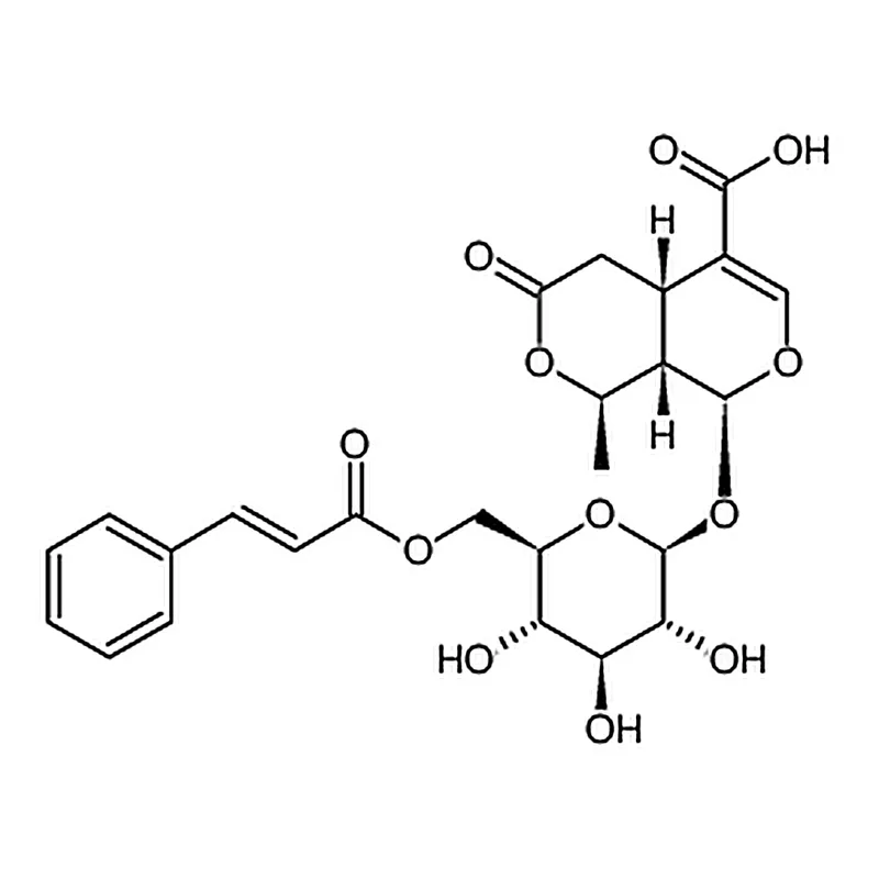 RHAWN 6'-O-Cinnamoyl 8-epikingisidic acid