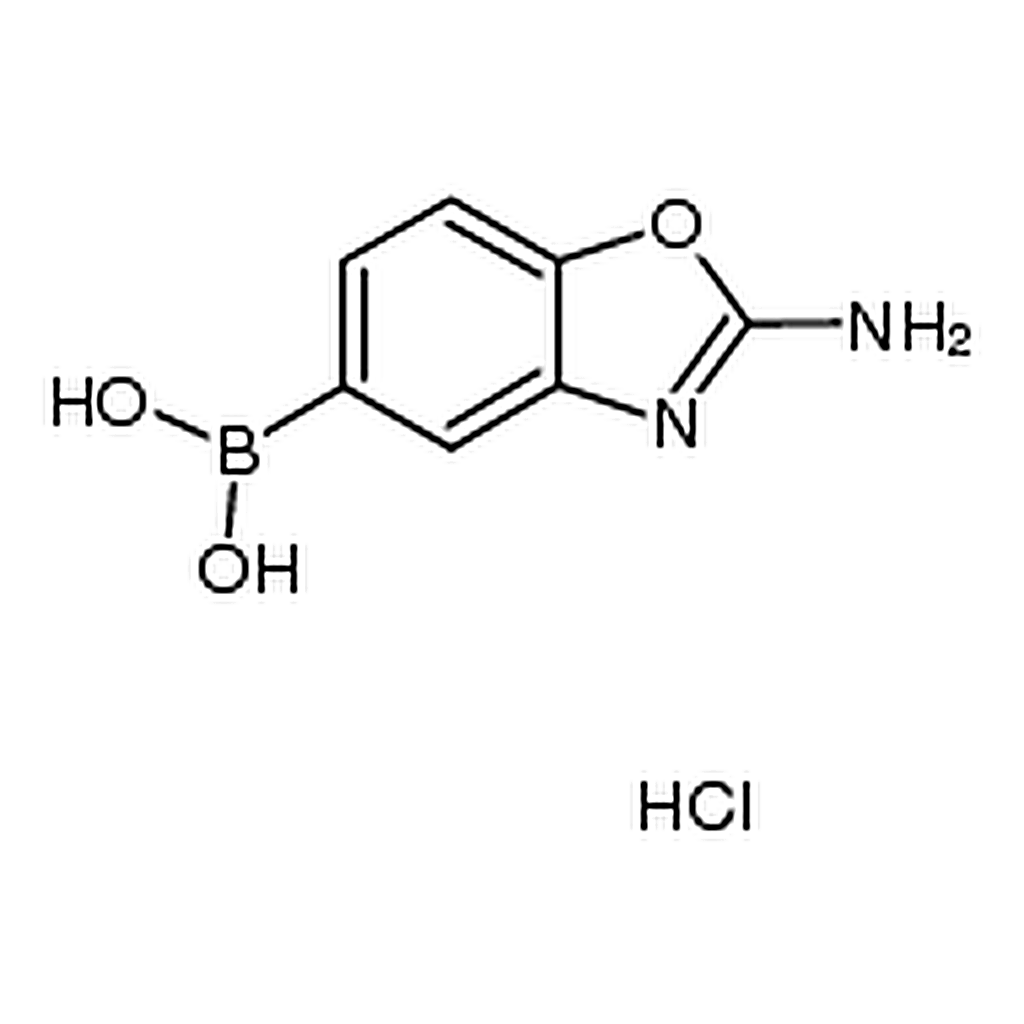 RHAWN (2-Amino-1,3-benzoxazol-5-yl)boronic acid hydrochloride