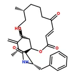 RHAWN Cytochalasin A