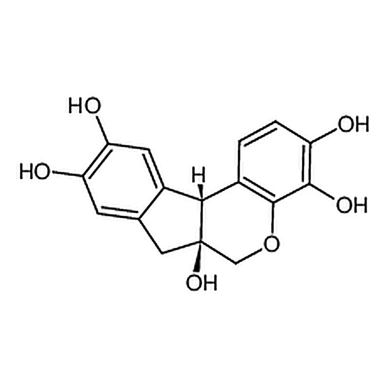 RHAWN Ehrlich's Hematoxylin