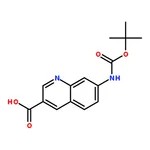 RHAWN 7-((tert-Butoxycarbonyl)amino)quinoline-3-carboxylic acid