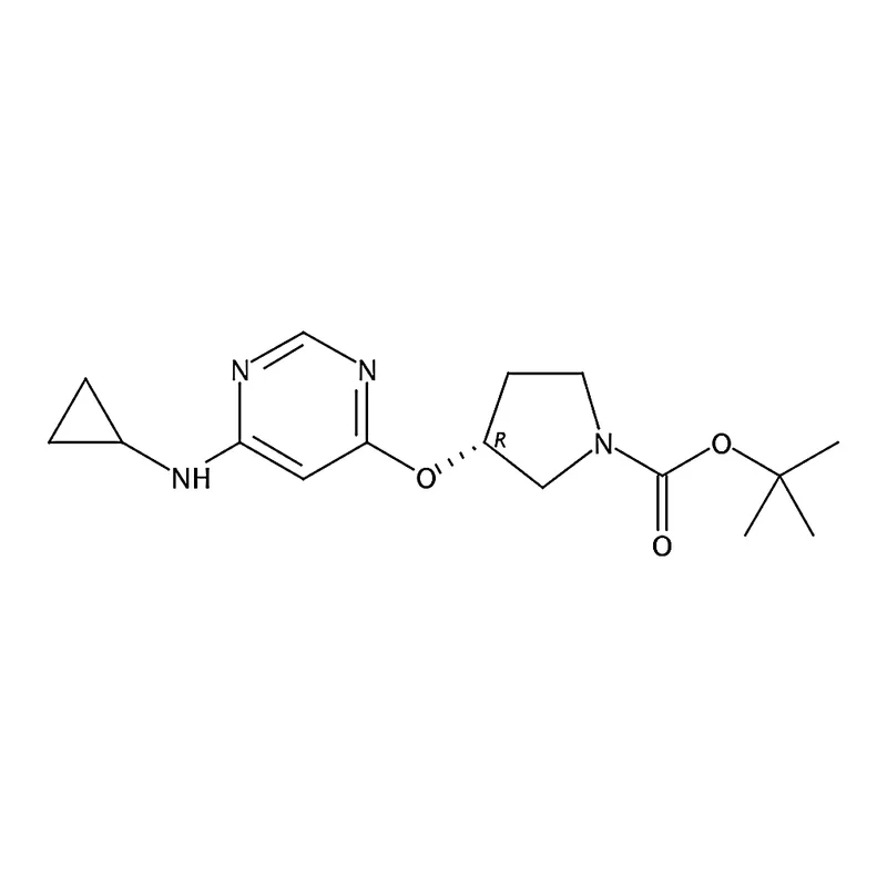 RHAWN (R)-tert-Butyl 3-((6-(cyclopropylamino)pyrimidin-4-yl)oxy)pyrrolidine-1-carboxylate