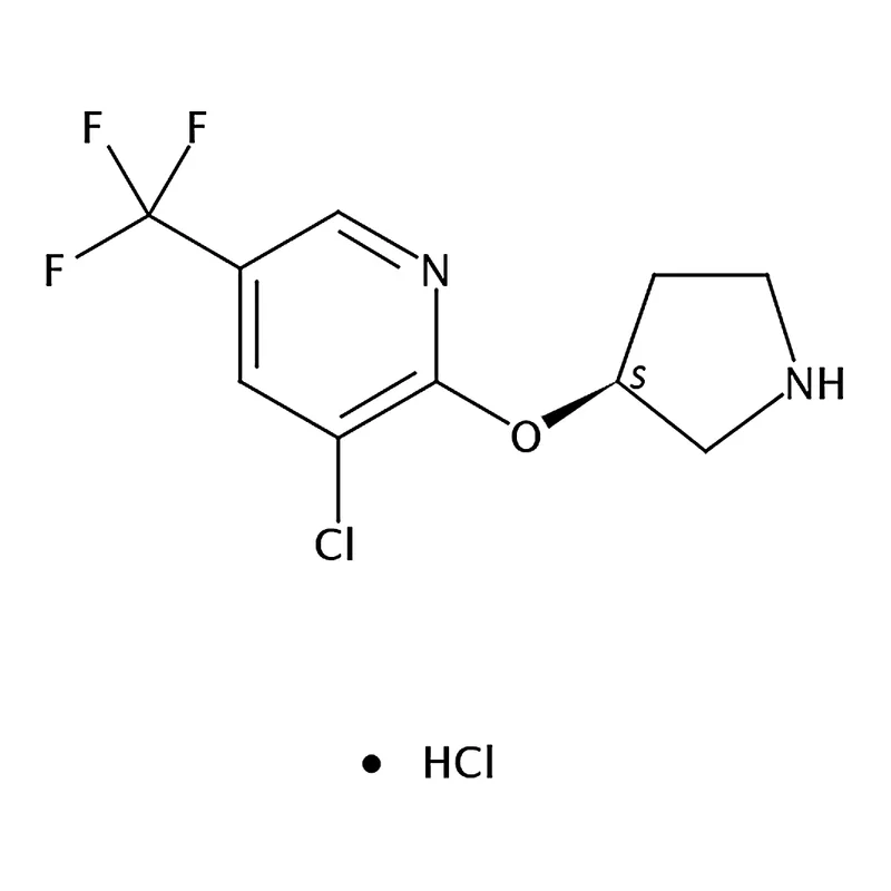 RHAWN (S)-3-Chloro-2-(pyrrolidin-3-yloxy)-5-(trifluoromethyl)pyridine hydrochloride