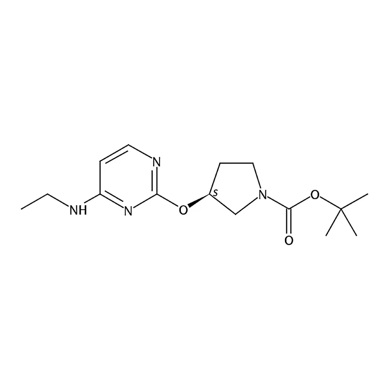RHAWN (S)-tert-Butyl 3-((4-(ethylamino)pyrimidin-2-yl)oxy)pyrrolidine-1-carboxylate