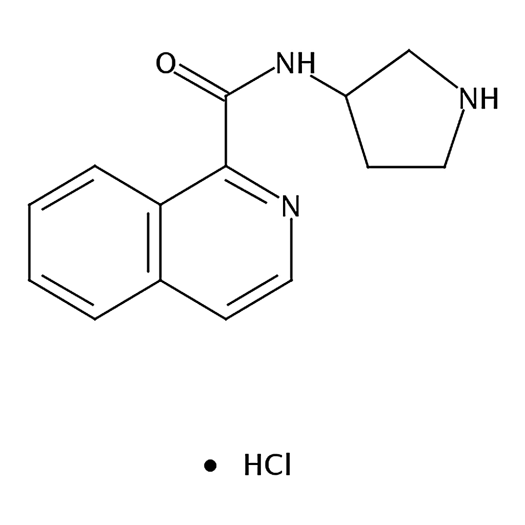 RHAWN N-(Pyrrolidin-3-yl)isoquinoline-1-carboxamide hydrochloride