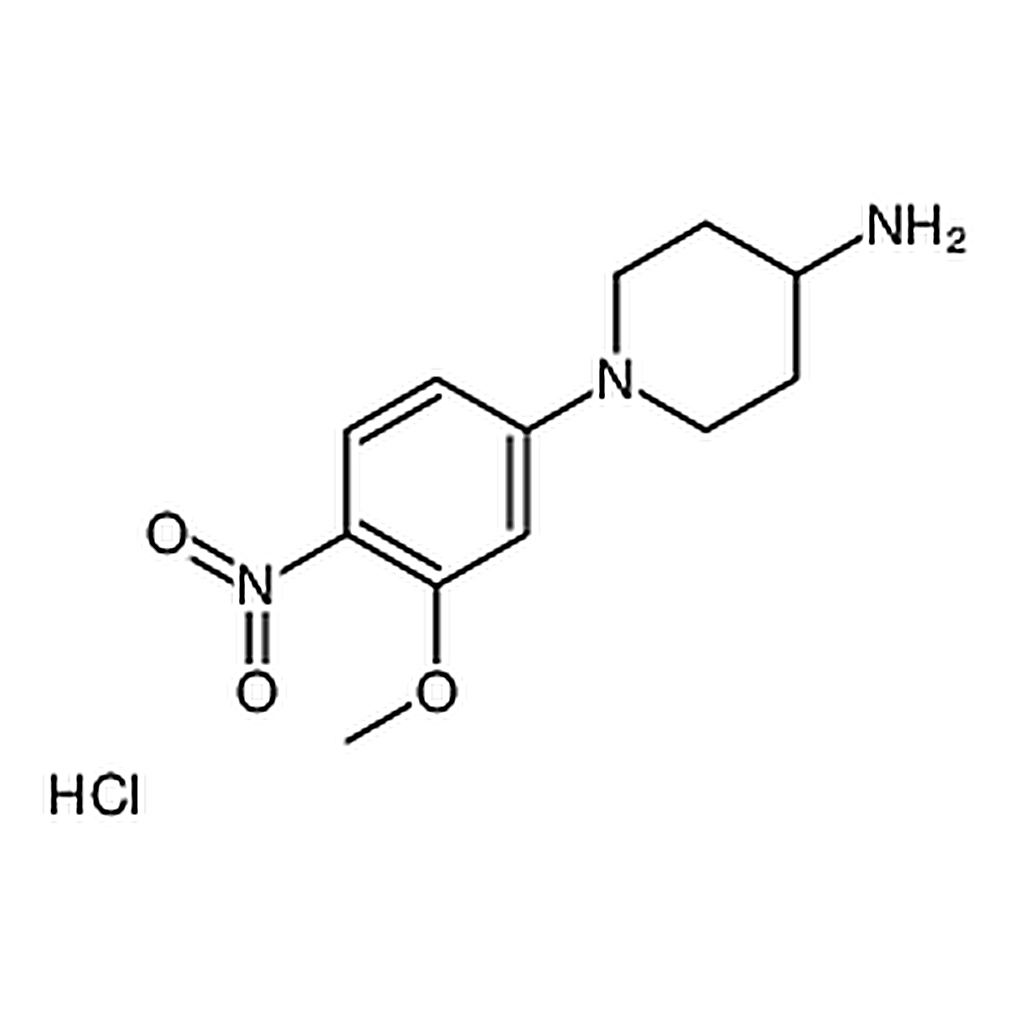 RHAWN 1-(3-Methoxy-4-nitrophenyl)piperidin-4-amine hydrochloride