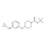 RHAWN 4-(6-CyclopropylaMino-pyriMidin-4-yloxy)-piperidine-1-carboxylic acid tert-butyl ester