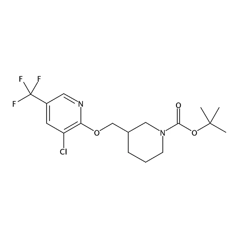 RHAWN tert-Butyl 3-(((3-chloro-5-(trifluoromethyl)pyridin-2-yl)oxy)methyl)piperidine-1-carboxylate