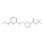 RHAWN tert-Butyl 3-(((4-(ethylamino)pyrimidin-2-yl)oxy)methyl)pyrrolidine-1-carboxylate