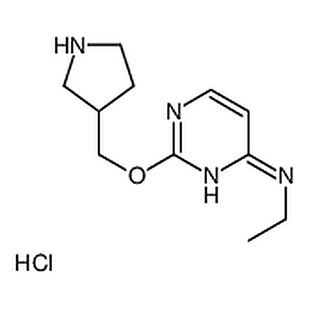 RHAWN N-Ethyl-2-(pyrrolidin-3-ylmethoxy)pyrimidin-4-amine hydrochloride