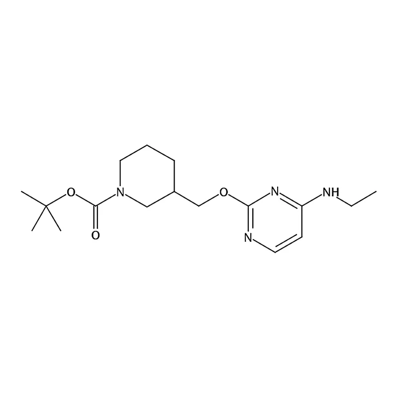 RHAWN tert-Butyl 3-(((4-(ethylamino)pyrimidin-2-yl)oxy)methyl)piperidine-1-carboxylate