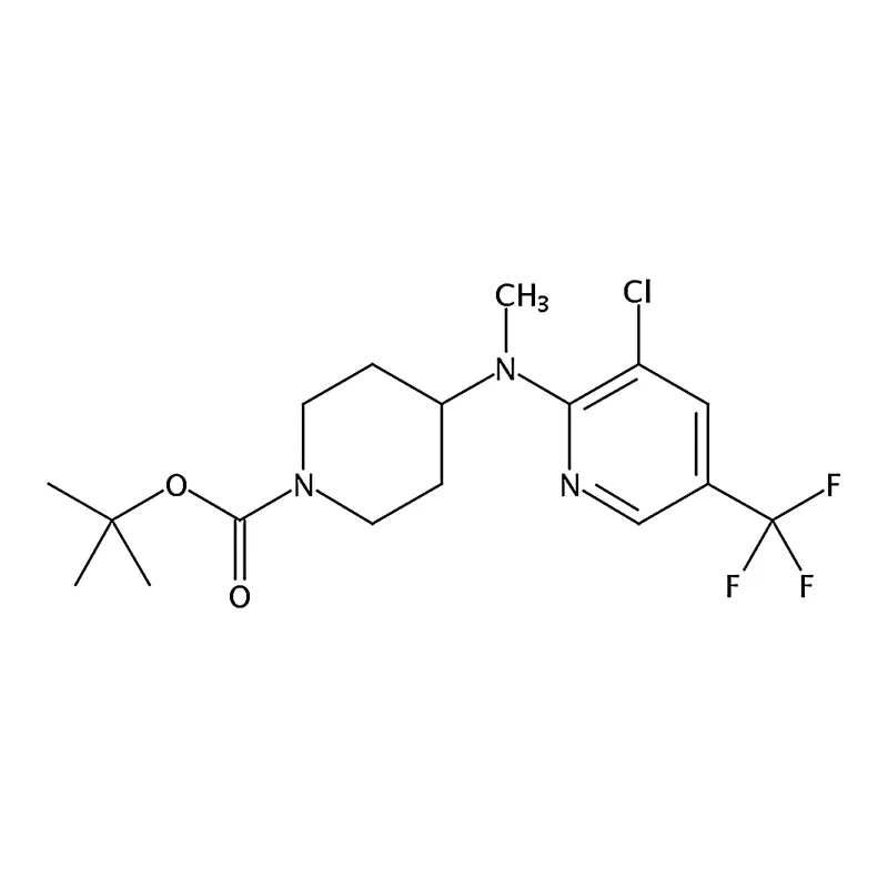 RHAWN tert-Butyl 4-((3-chloro-5-(trifluoromethyl)pyridin-2-yl)(methyl)amino)piperidine-1-carboxyla