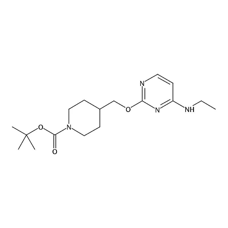 RHAWN tert-Butyl 4-(((4-(ethylamino)pyrimidin-2-yl)oxy)methyl)piperidine-1-carboxylate