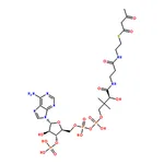 RHAWN Acetoacetyl coenzyme A sodium salt hydrate