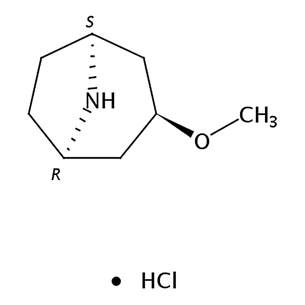 RHAWN endo-3-Methoxy-8-azabicyclo[3.2.1]octane hydrochloride