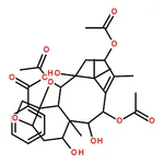 RHAWN 13-Acetyl-9-dihydrobaccatin III