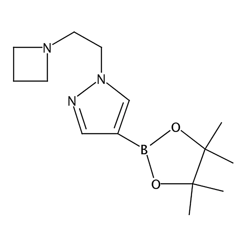 RHAWN 1-(2-(Azetidin-1-yl)ethyl)-4-(4,4,5,5-tetramethyl-1,3,2-dioxaborolan-2-yl)-1H-pyrazole