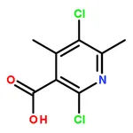 RHAWN 2,5-Dichloro-4,6-dimethylnicotinic Acid