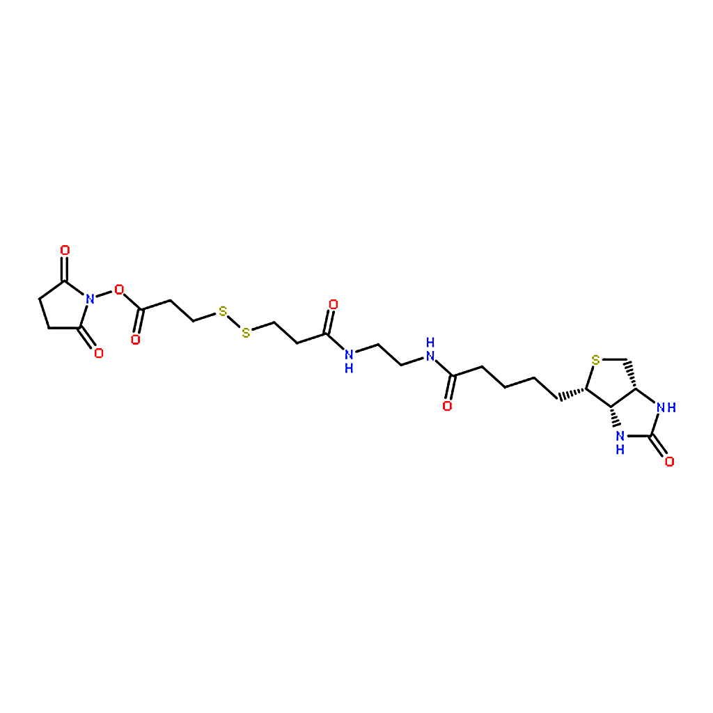 RHAWN BIOTIN DISULFIDE N-HYDROXY-SUCCINIMIDE ESTER