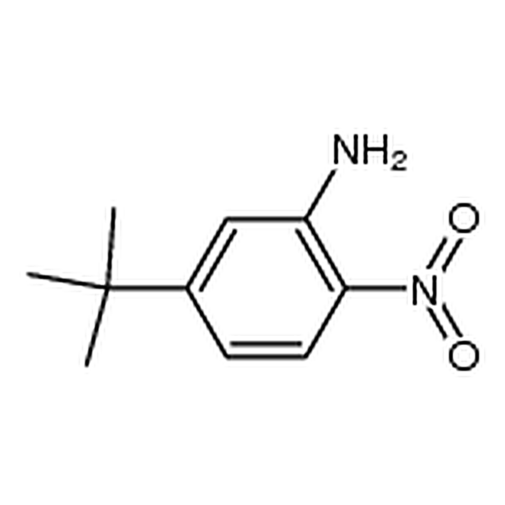 RHAWN 5-(tert-Butyl)-2-nitroaniline