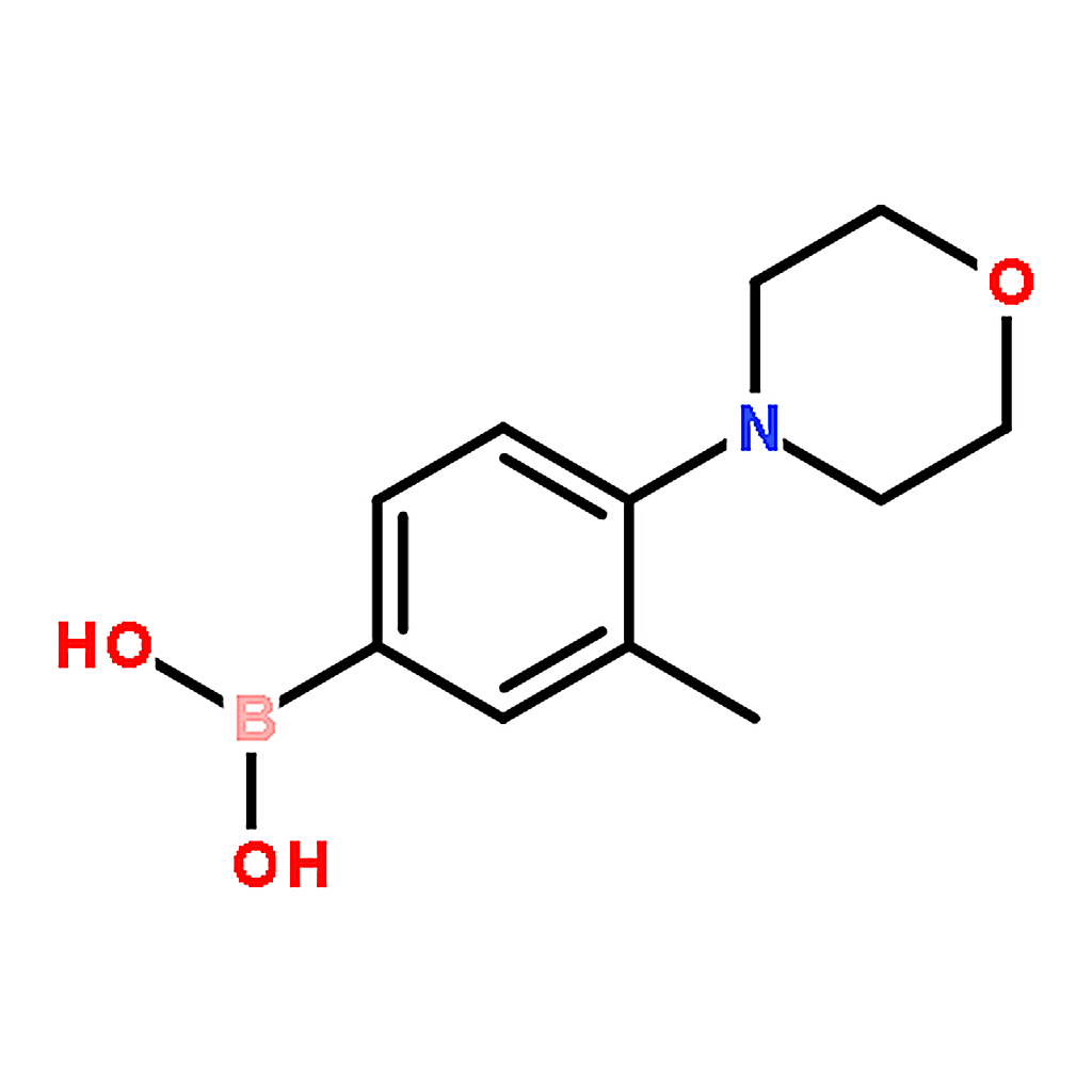 RHAWN 3-Methyl-4-morpholinophenylboronic Acid