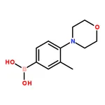 RHAWN 3-Methyl-4-morpholinophenylboronic Acid