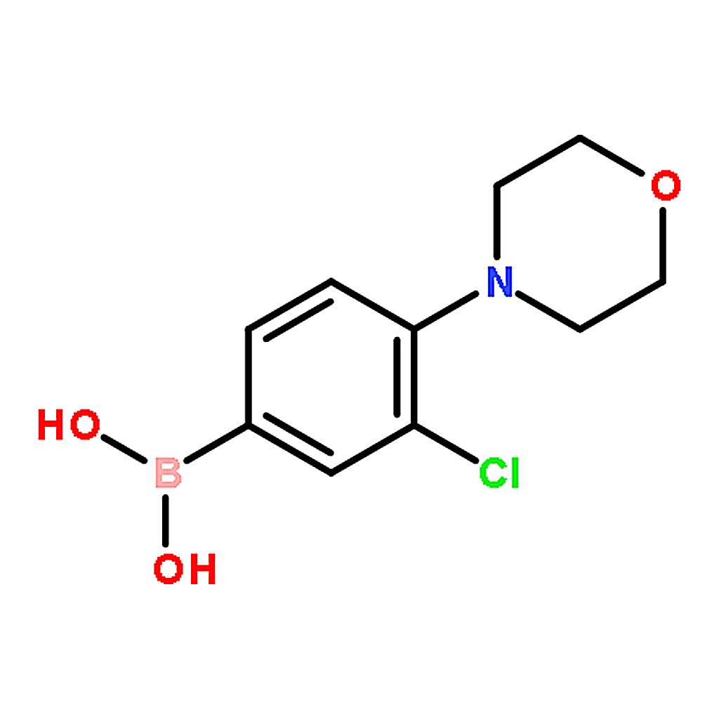 RHAWN 3-Chloro-4-morpholinophenylboronic Acid