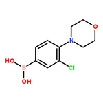 RHAWN 3-Chloro-4-morpholinophenylboronic Acid