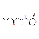 RHAWN N-(Ketocaproyl)-L-homoserine Lactone