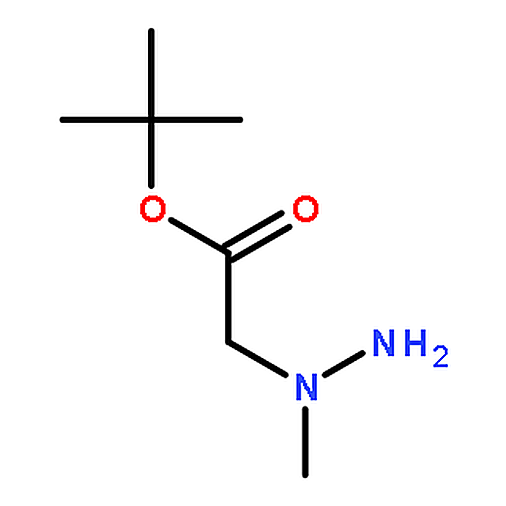 RHAWN tert-Butyl 2-(1-Methylhydrazinyl)acetate