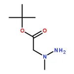 RHAWN tert-Butyl 2-(1-Methylhydrazinyl)acetate