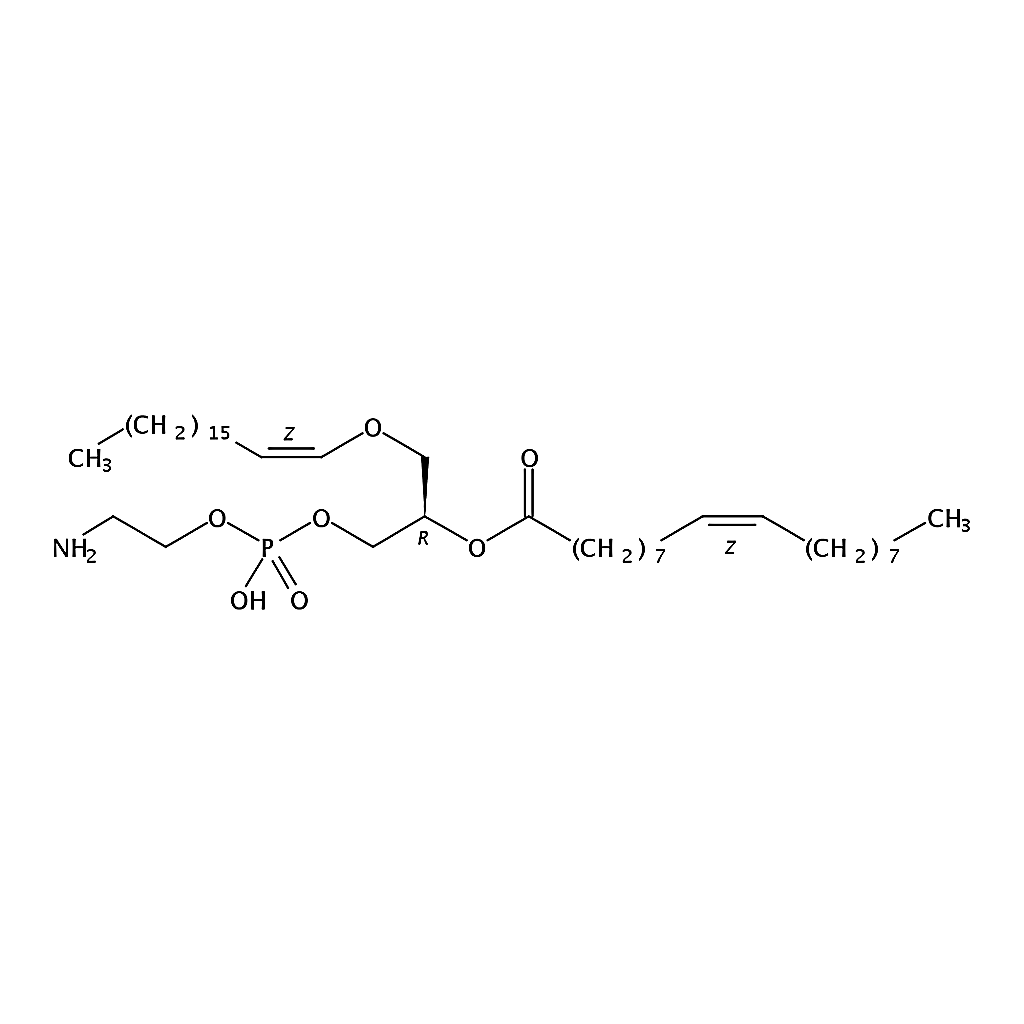 RHAWN 1-(1Z-octadecenyl)-2-oleoyl-sn-glycero-3-phosphoethanolamine