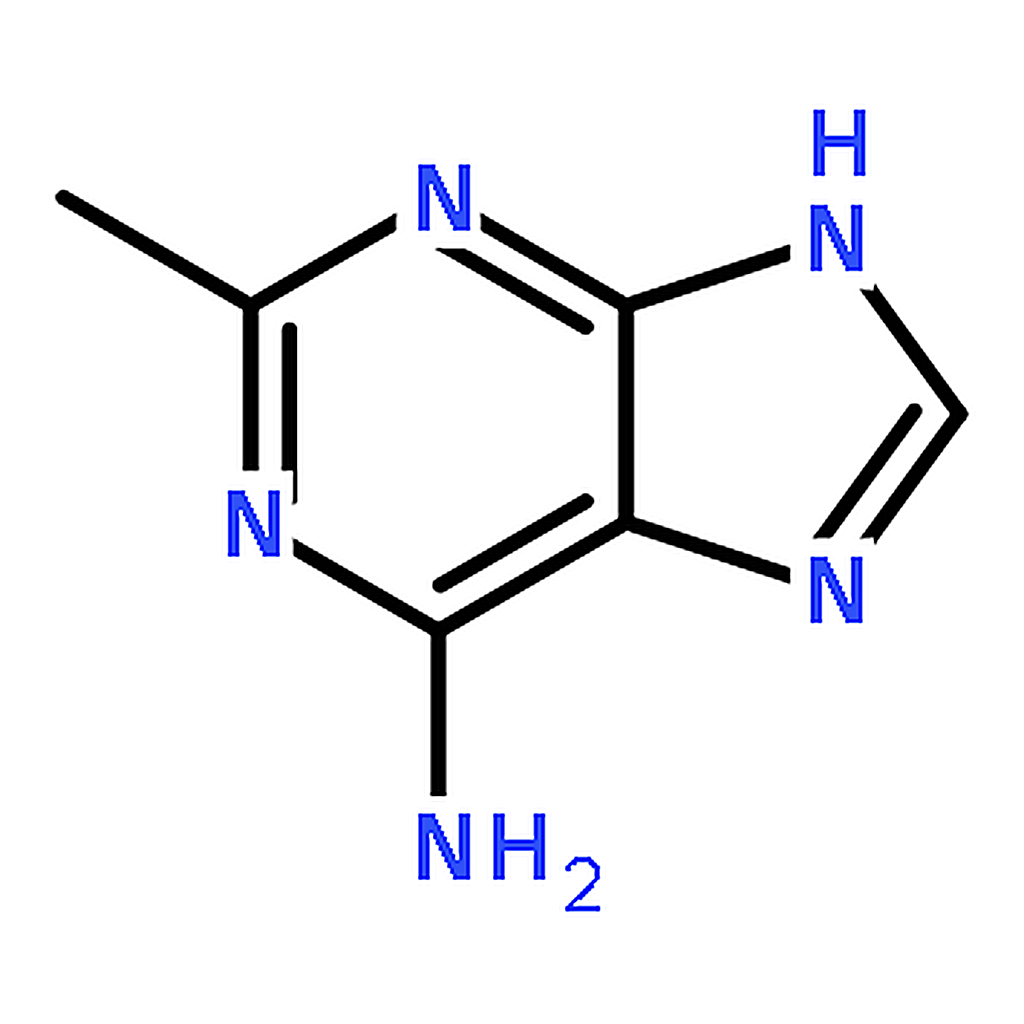 RHAWN 2-Methyl-1H-purin-6-amine