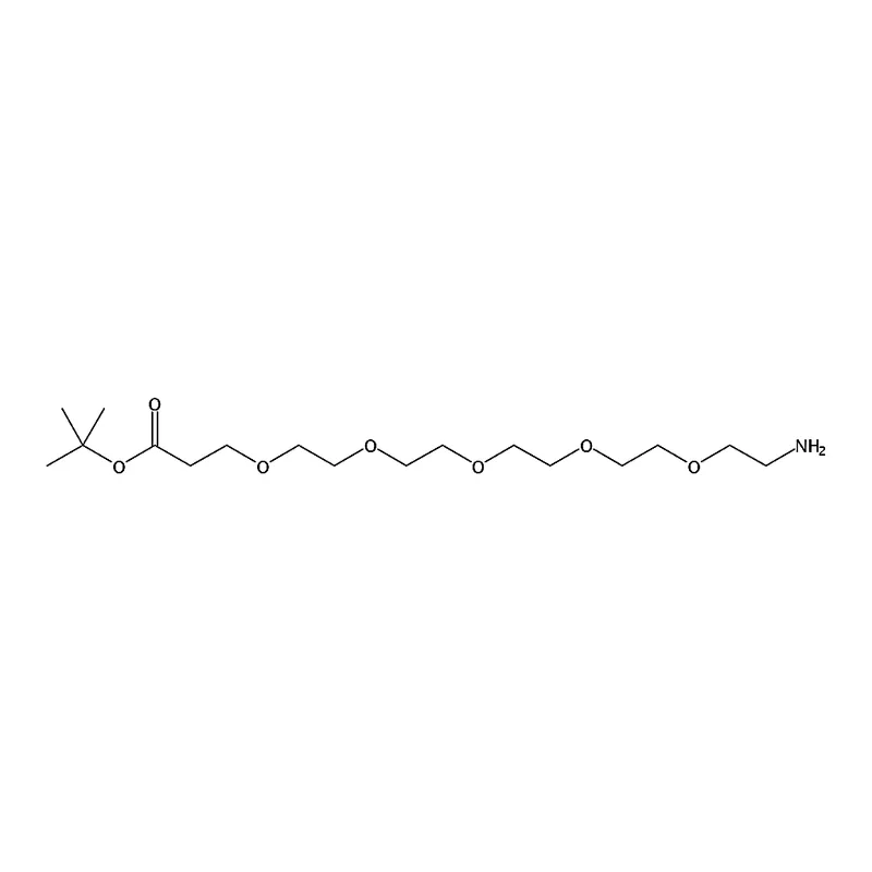 RHAWN tert-Butyl 1-amino-3,6,9,12,15-pentaoxaoctadecan-18-oate