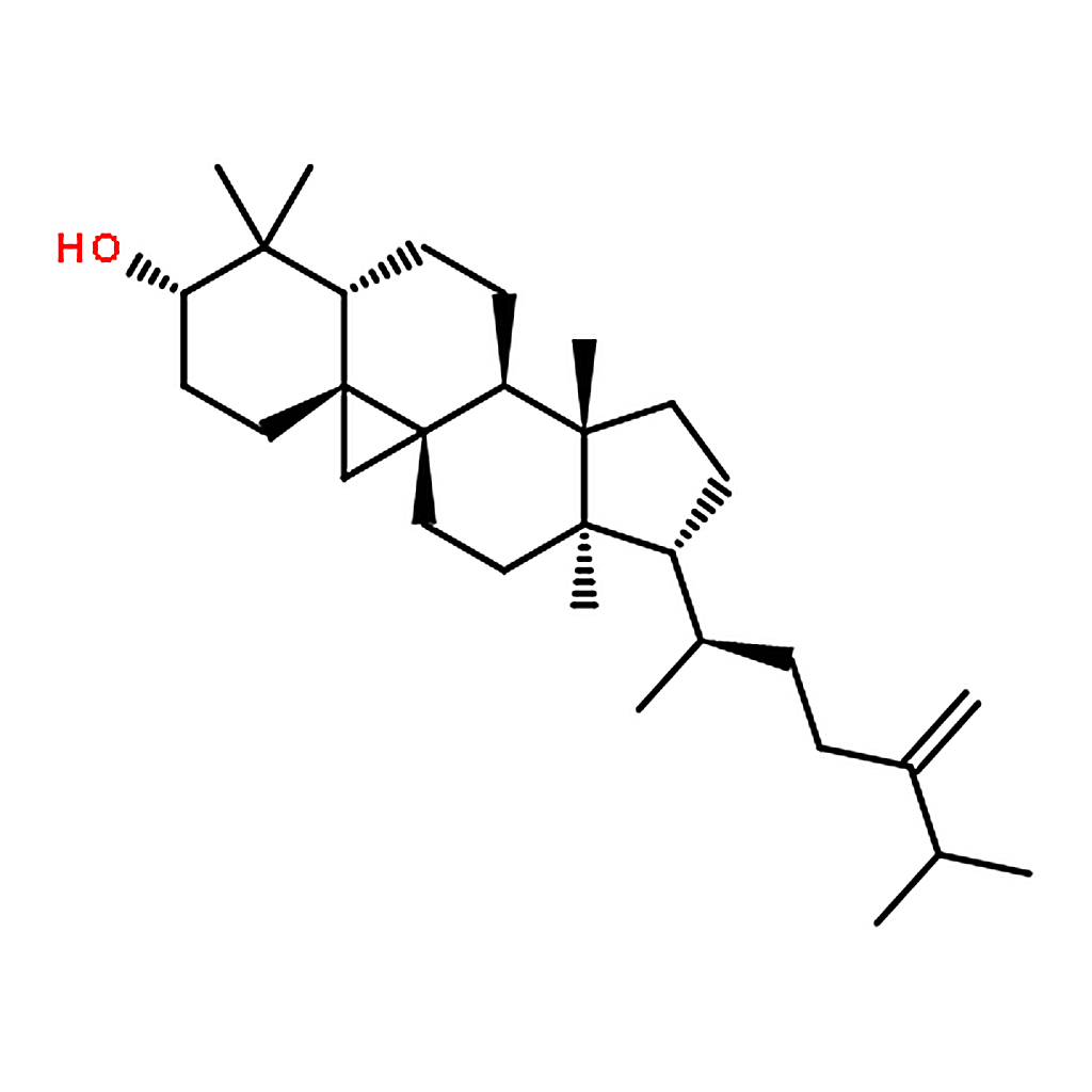 RHAWN 24-Methylenecycloartan-3-ol