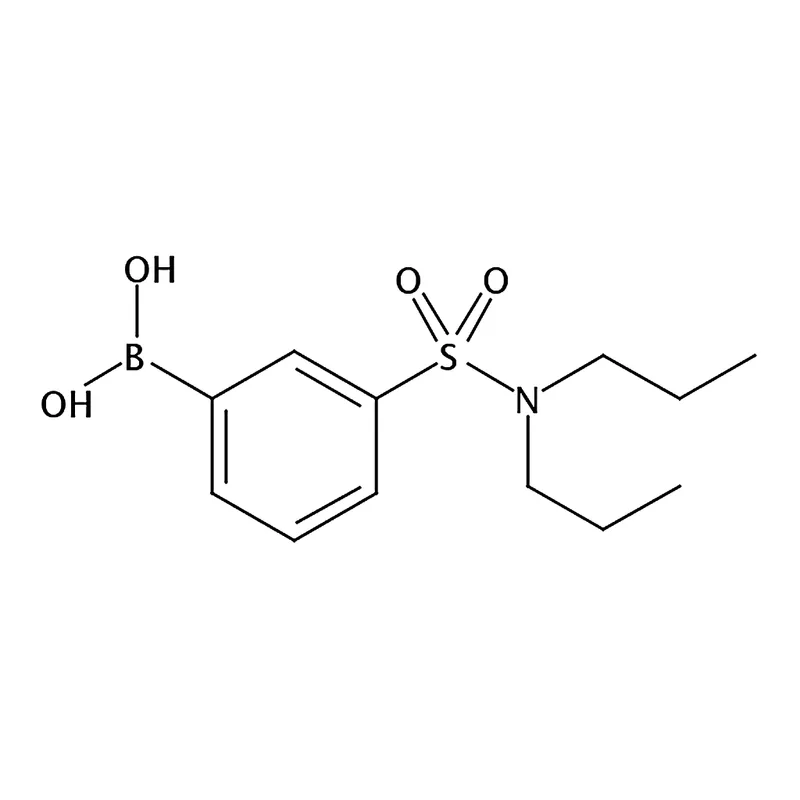 RHAWN (3-(N,N-Dipropylsulfamoyl)phenyl)boronic acid