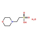 RHAWN MES monohydrate