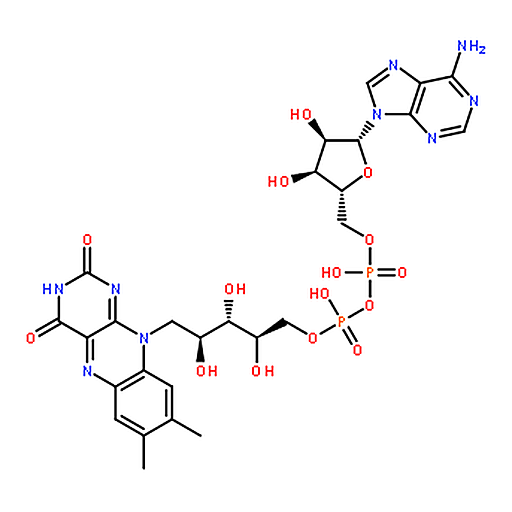 RHAWN Flavin Adenine Dinucleotide