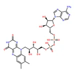 RHAWN Flavin Adenine Dinucleotide
