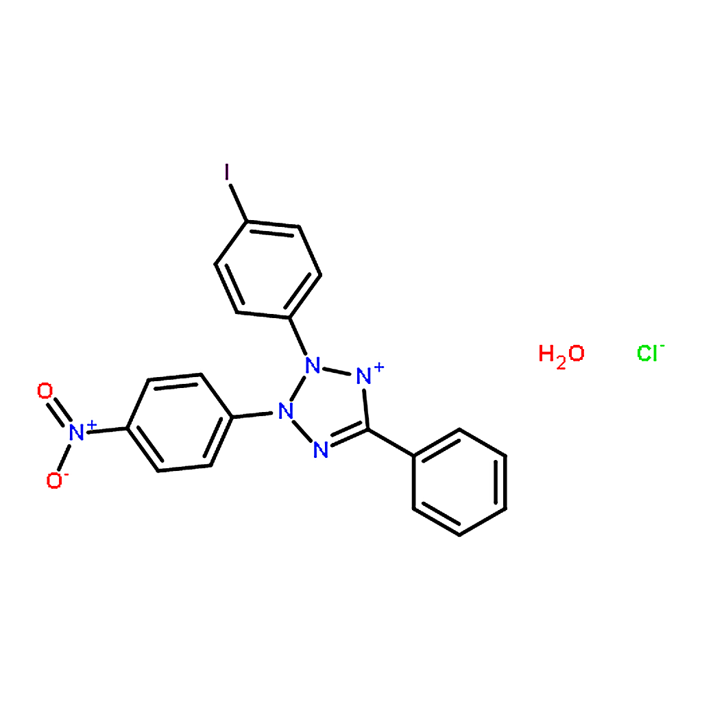 RHAWN Iodonitrotetrazolium chloride (INT)