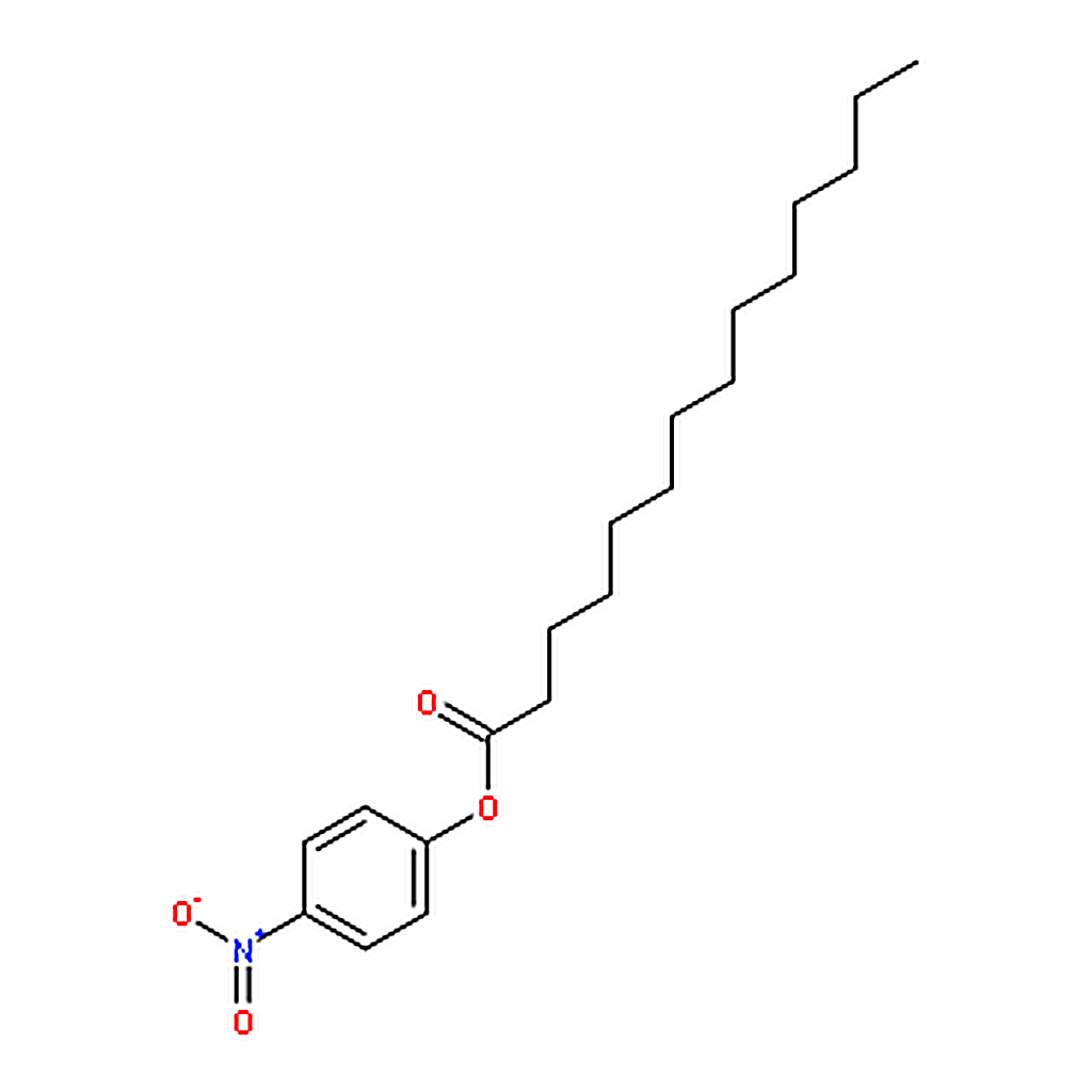 RHAWN 4-Nitrophenyl tetradecanoate
