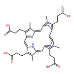 RHAWN Coproporphyrin III